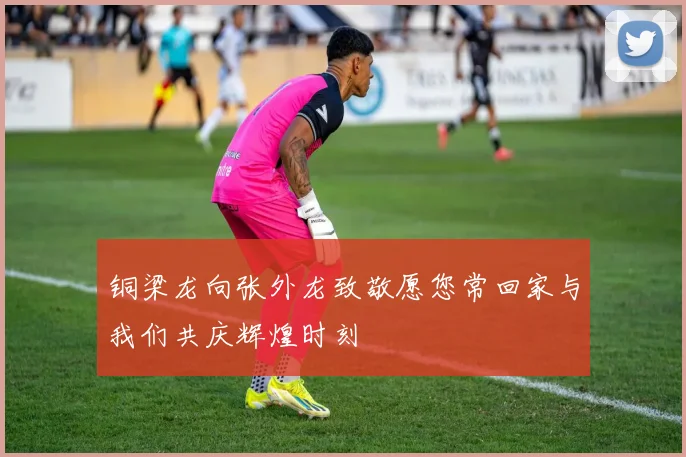 铜梁龙向张外龙致敬愿您常回家与我们共庆辉煌时刻