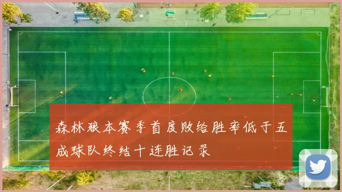 森林狼本赛季首度败给胜率低于五成球队终结十连胜记录