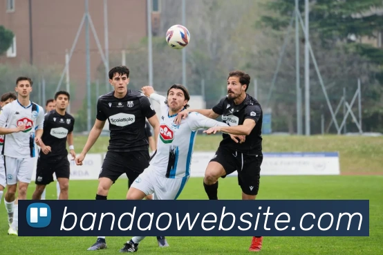 半岛体育品牌故事