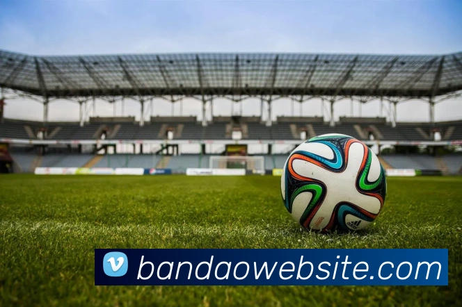 半岛体育服务体系